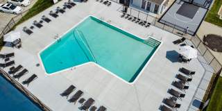 TGM Autumn Woods Gallery 33