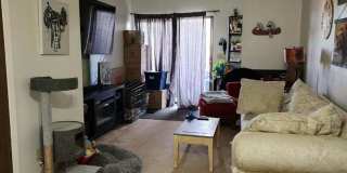 2 Bedroom 1 Bathroom Apartment Gallery 7