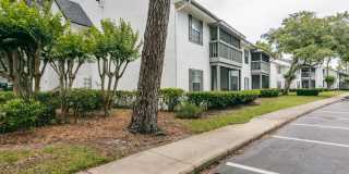Ocean Oaks Gallery 15