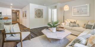 Jackey's Ridge Gallery 11