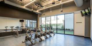 80 on the Commons Gallery 8