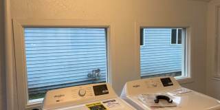 3 Bedroom Home for Rent, New kitchen, windows, flooring, and lights! Gallery 10