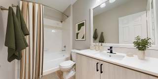 Bristol Village Apartments Gallery 12