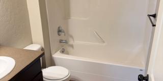 5 bed/ 4 Bath Townhome in Cheney Gallery 17