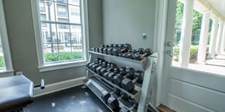 Paces Park Gallery 6