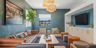 Palm Court Gallery 17