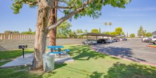 Serramonte Parks Gallery 9