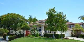 658 AVENIDA VALENCIA Gallery 1