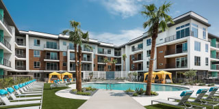 Roadrunner on McDowell Gallery 10