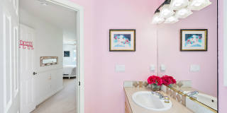 534 Sawtooth Point Gallery 26