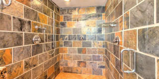 South Tampa single family Gallery 10