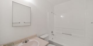 12811 HUNTING BEAR Gallery 24