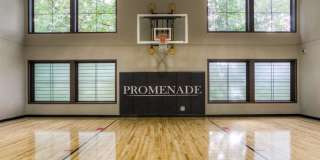 Promenade Promenade Gallery 11