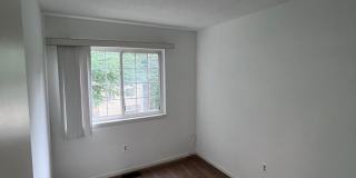 11402 HEREFORDSHIRE Way Gallery 25