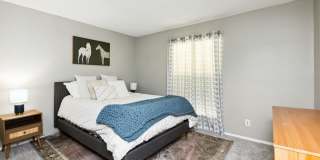 Creekside Gallery 12