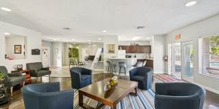 Sarasota South Gallery 17