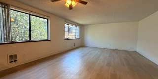 Olive Trees Apartments Gallery 6
