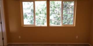 Dynamite 4 Bed, 2.5 Bath SW Home With All the Bells & Whistles Gallery 22