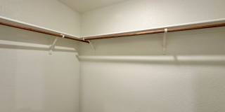 905 Cherry Laurel Gallery 29