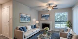 Serena Vista Gallery 2