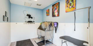 Avana Landing Gallery 14