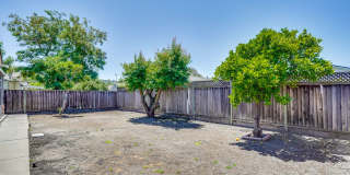 6063 Pineland Avenue Gallery 47