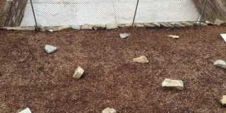 Luxury Rental - South Side Gallery 6