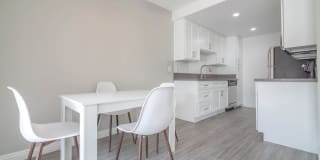 THE MODERN CACTUS Gallery 4