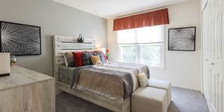 The Meadows Gallery 17