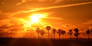 835 S OSPREY AVENUE Gallery 80