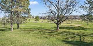 The Fairways at Raccoon Creek Gallery 25