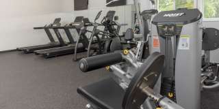 Cinnamon Ridge Gallery 32