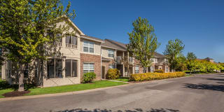 Linden Square Gallery 8