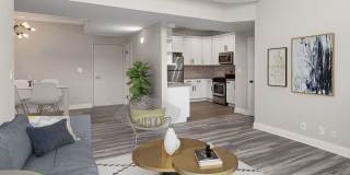 Palms Court Gallery 14