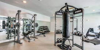 Trails at Hunter's Lake Gallery 6