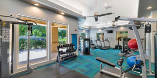 Ventura Vista Gallery 26