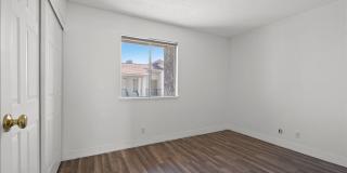 Van Dyke Gallery 19