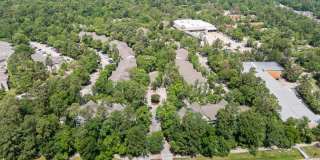 Forest View Gallery 22