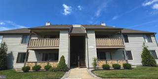 1502 THE WOODS Gallery 1