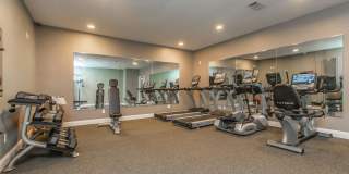 51 at Southaven Gallery 4