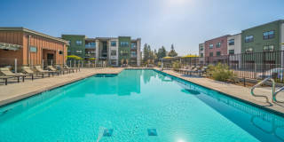 Emblem Renata Gallery 25