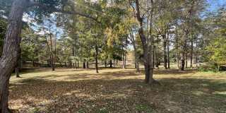 Forest Village on the Greenway Gallery 23