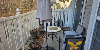 1608 BEACON HILL Gallery 2