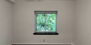 Webster Terrace II Gallery 16