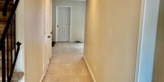 3 bedroom / 1.5 bathroom - Courthouse Green 3 bedroom / 1.5 bathroom - Courthouse Green Gallery 5