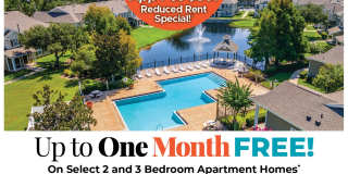 Regatta Bay Gallery 1