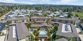 The Artisan Gallery 40