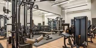 Avalon Cove Gallery 30