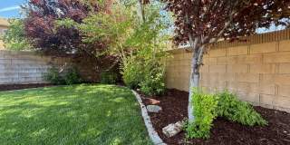 3701 Pondera Street Gallery 21