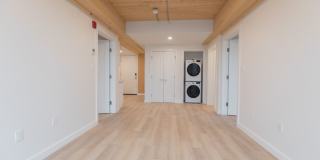 19 East Lenox #504 Boston MA 02118 Gallery 3